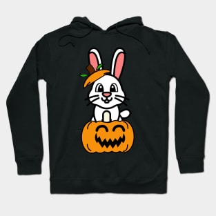 Funny Bunny is in a pumpkin Hoodie